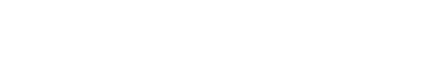 The Hong Kong Polytechnic University